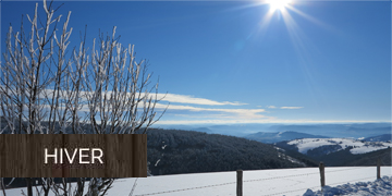 Hiver